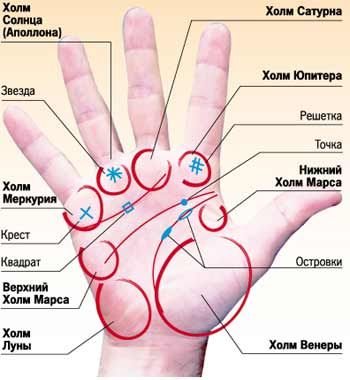 остальные линии на ладони