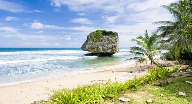 Остров Барбадос, экзотические пейзажи