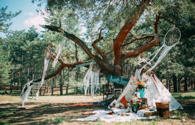 Отдых на природе