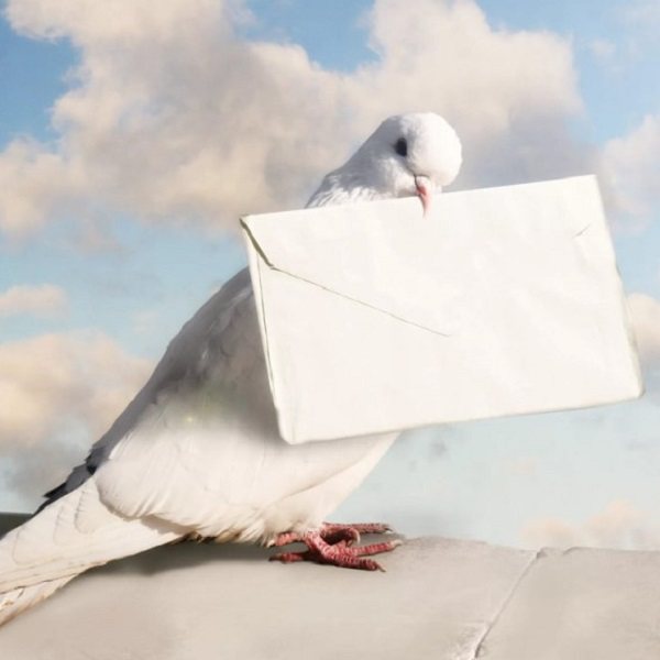 отправить шуточное письмо на свадьбу