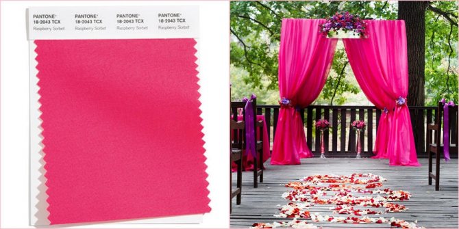 Pantone считает Малиновый сорбет одним из самых ярких представителей в 2021-ом