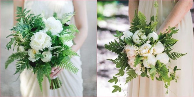 Папоротник напоминает пальму