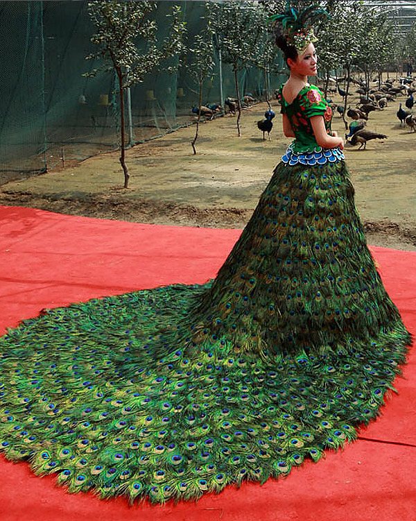 платье из павлинных перьев