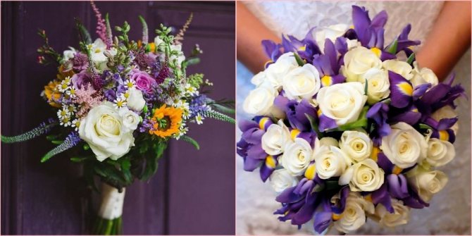 Полевые и ирисы подойдут на весну