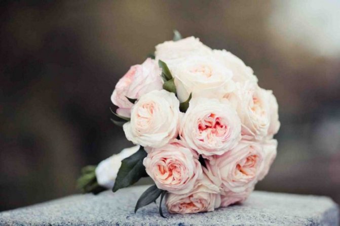 Поздравление племяннице