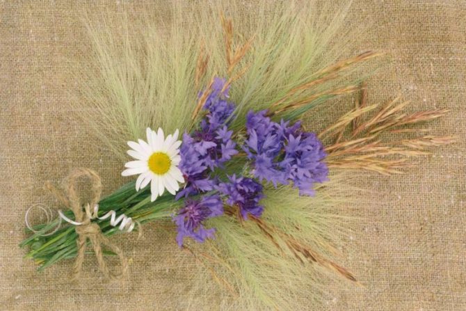 Поздравления на 4 года свадьбы с льняной свадьбой