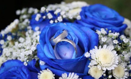 Поздравления на 45 лет свадьбы сапфировая свадьба