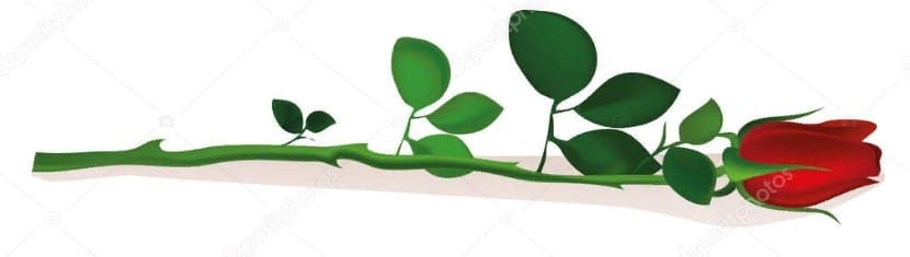 поздравления с днем свадьбы