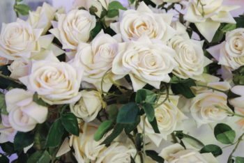 Поздравления своими словами на 10 лет свадьбы