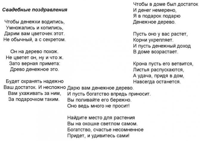 поздравления в стихах со свадьбой в момент вручения денежного дерева