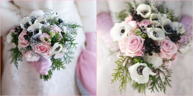 Прекрасно пойдут анемоны для холодной зимы