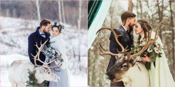 Пригласите оленей