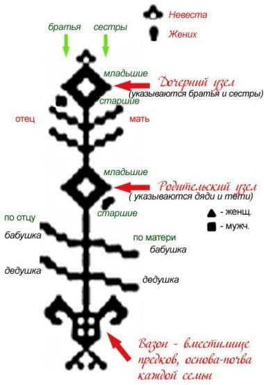 Пример Родового Древа