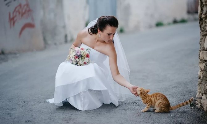 приметы со свадебным платьем