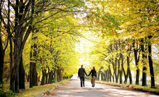 Прогуляйтесь