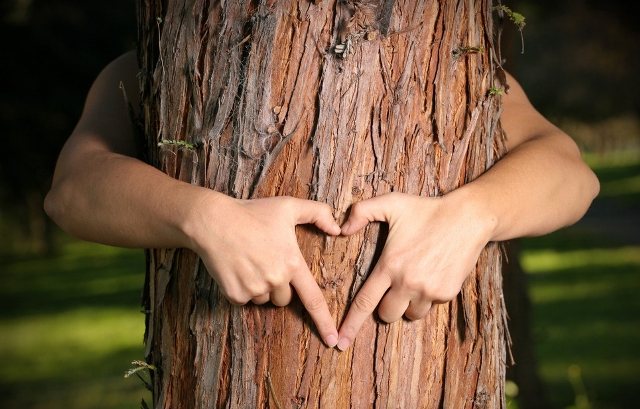 Пять лет вместе