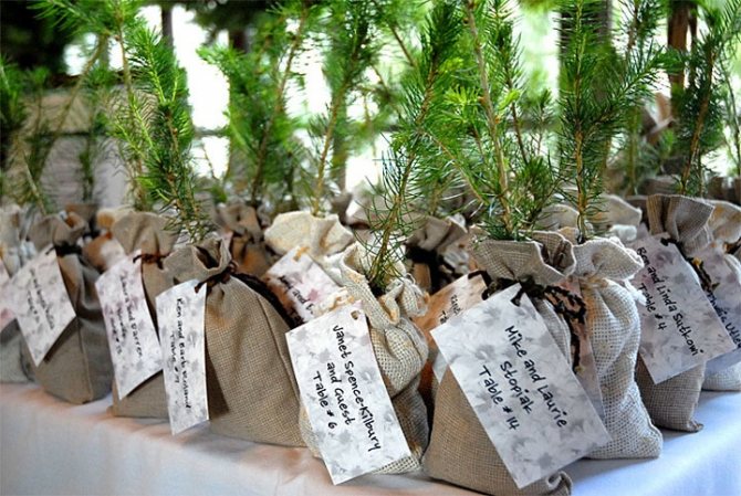 Рассадочные карточки на свадьбу