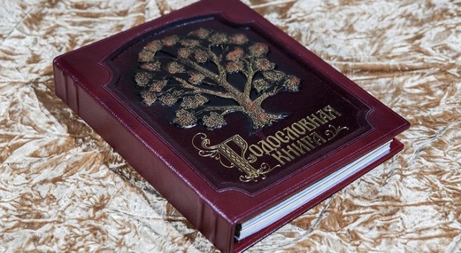 родословная книга