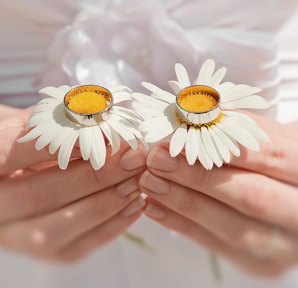 ромашки и кольца