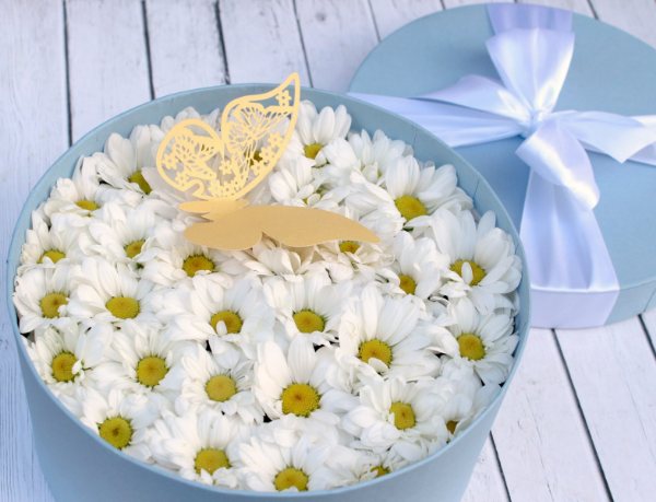 ромашки в коробке