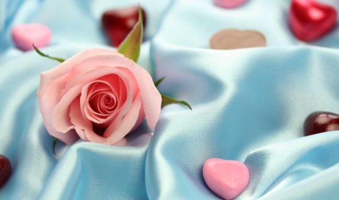 роза, атлас