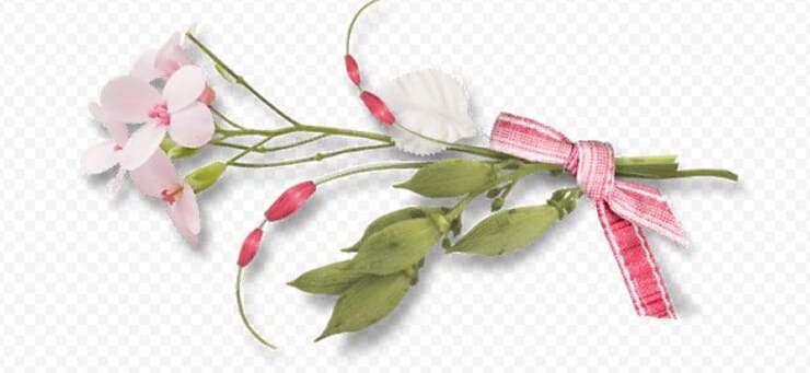 с днем рождения