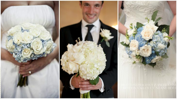 с гортензией