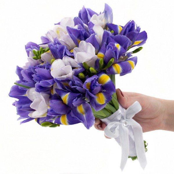 с какими цветами сочетать синие ирисы