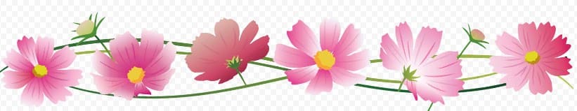 с юбилеем женщине