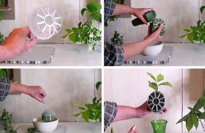 Сборка букета из весенних цветов