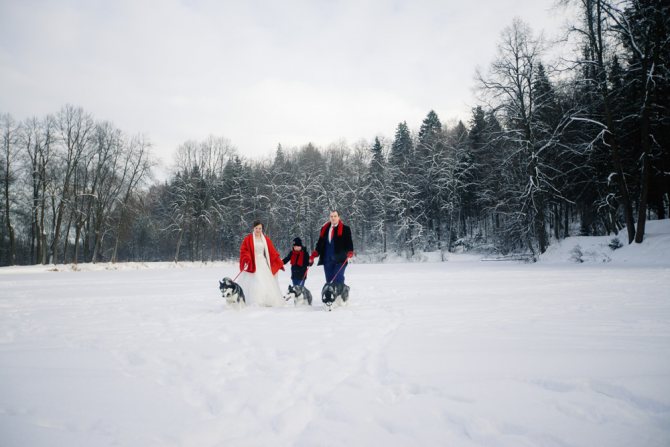 Семейная фотосессия с хаски