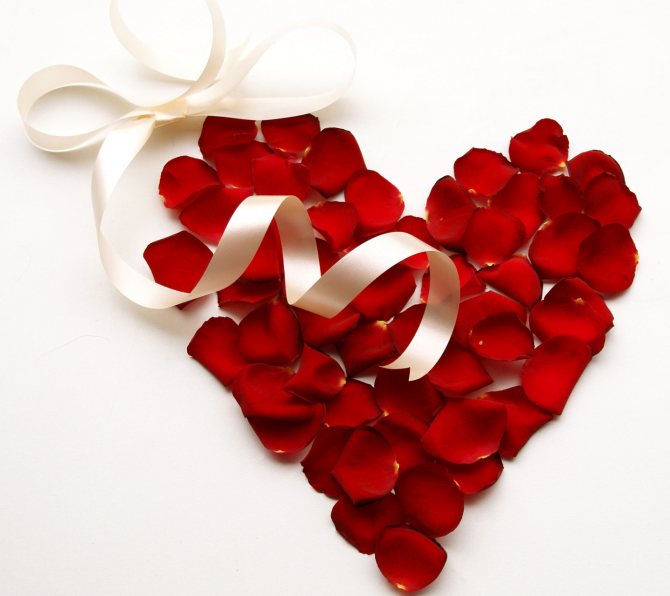 сердечко из лепестков роз