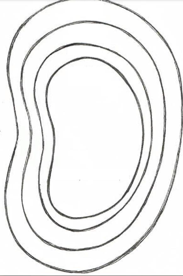 Схема лепестков роз