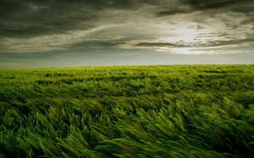 Сильный ветер. Что такое ветер и что такое сила ветра?