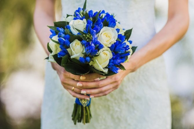 Синий букет