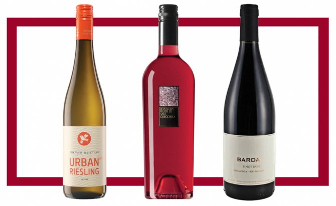 Слева направо: Nik Weis Urban Riesling; Feudi San Gregorio Ros’Aura; Bodega Chacra Barda