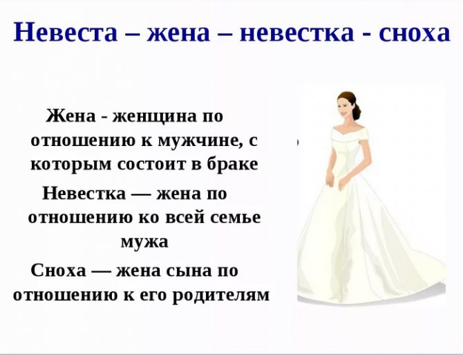 Сноха и невестка