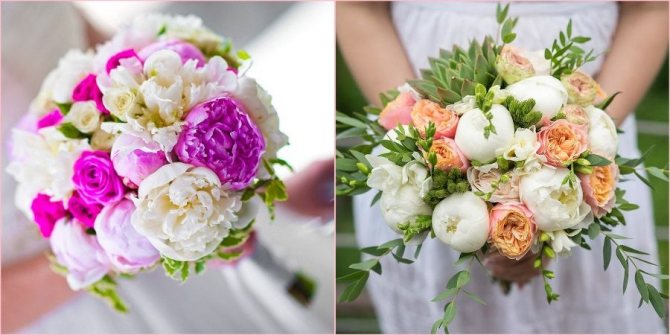 Сочетайте пионы с другими цветами