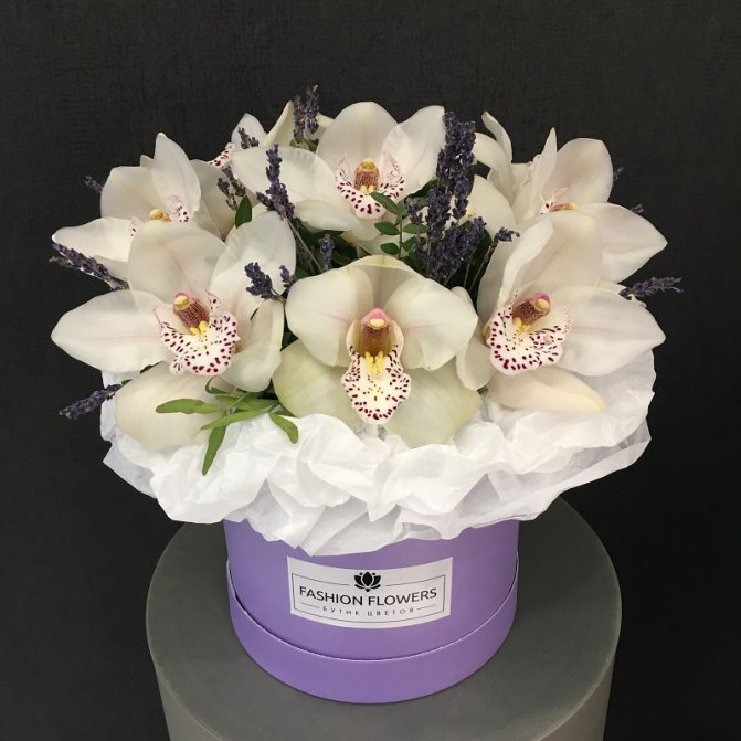 Сочетание цветов