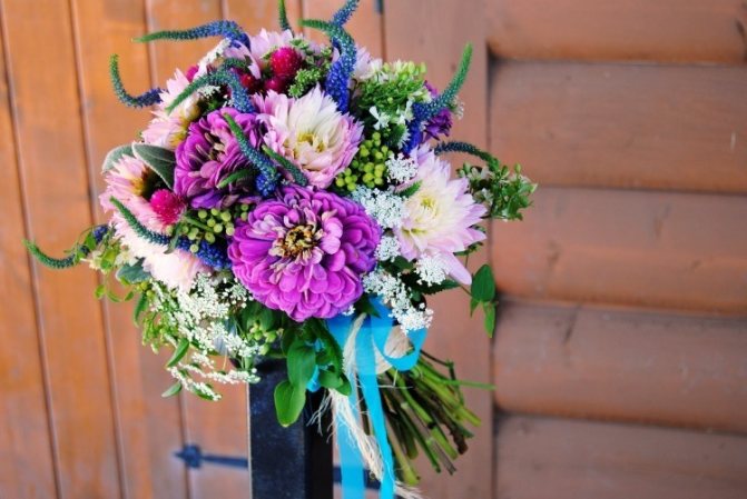 Сочетание сиреневого и пастельных цветов