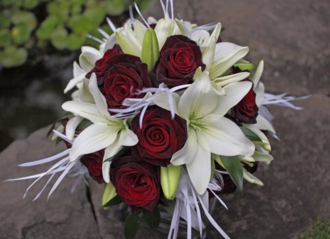 Сочетание темно-красных кустовых роз и белых лилий