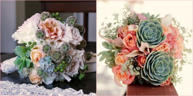 Суккуленты хорошо смотрится с цветами