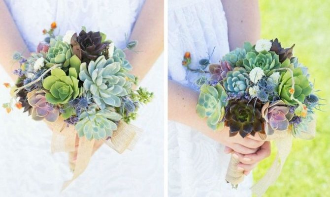 Суккуленты в свадебном букете