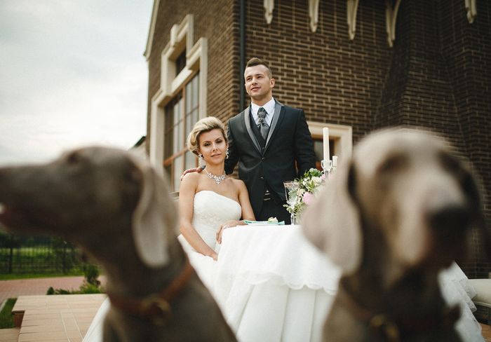 Свадьба в английском стиле – фото 2