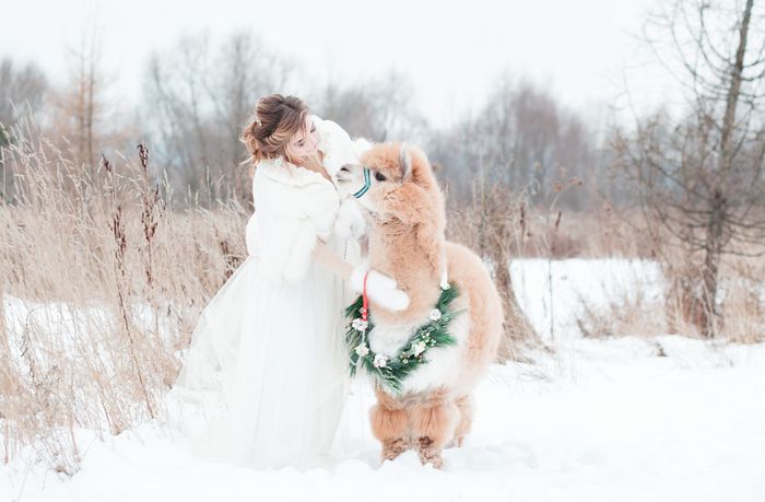 свадьба в феврале – благоприятные дни 7