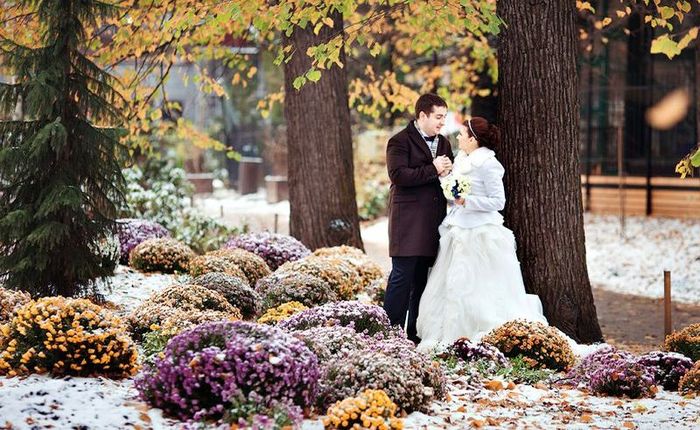 свадьба в ноябре 6