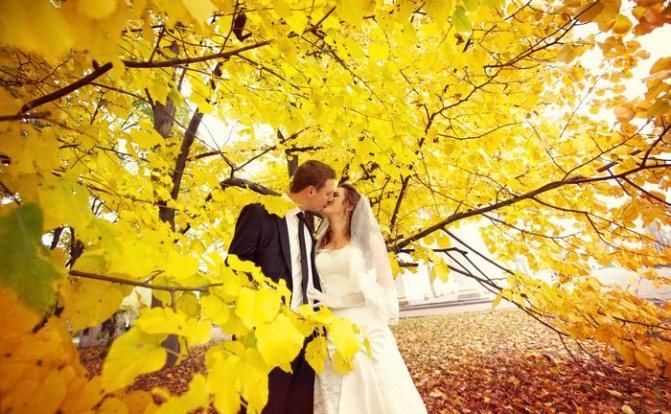 свадьба в сентябре 2022 1