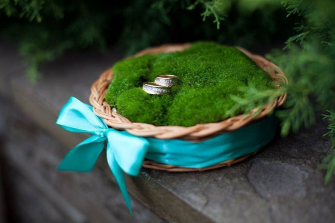 Свадьба весной