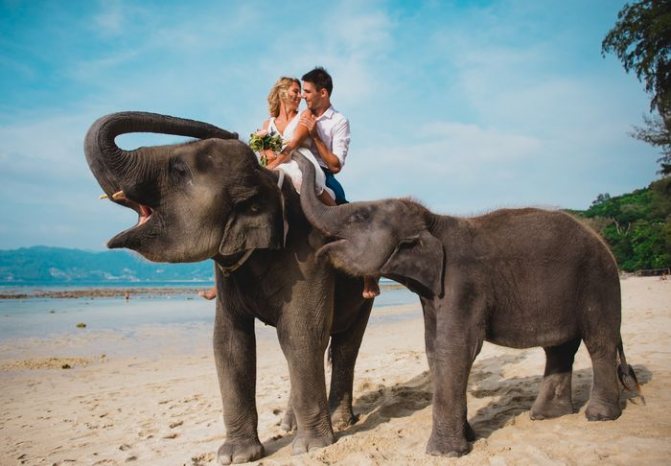 Свадебная церемония в Тайланде 30