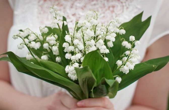 Свадебные композиции с ландышами